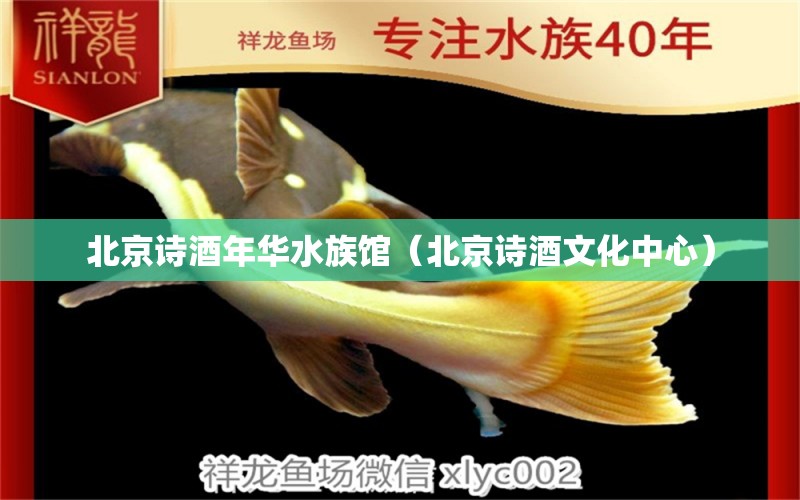 北京诗酒年华水族馆（北京诗酒文化中心） 全国水族馆企业名录