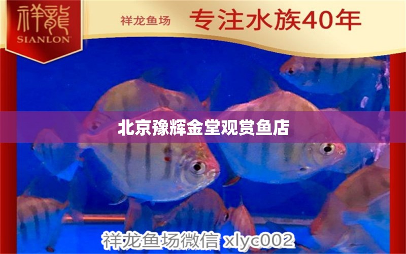 北京豫辉金堂观赏鱼店 全国水族馆企业名录