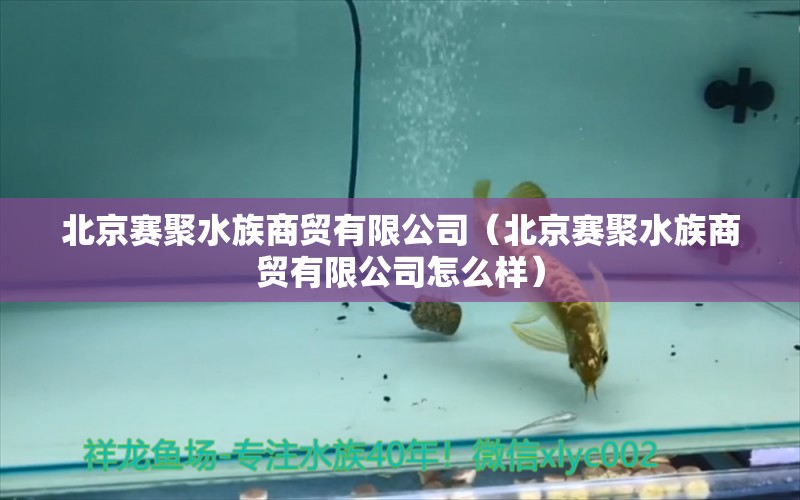 北京赛聚水族商贸有限公司（北京赛聚水族商贸有限公司怎么样）