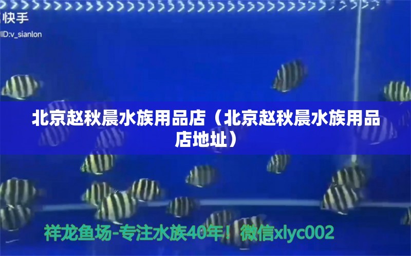 北京赵秋晨水族用品店（北京赵秋晨水族用品店地址）