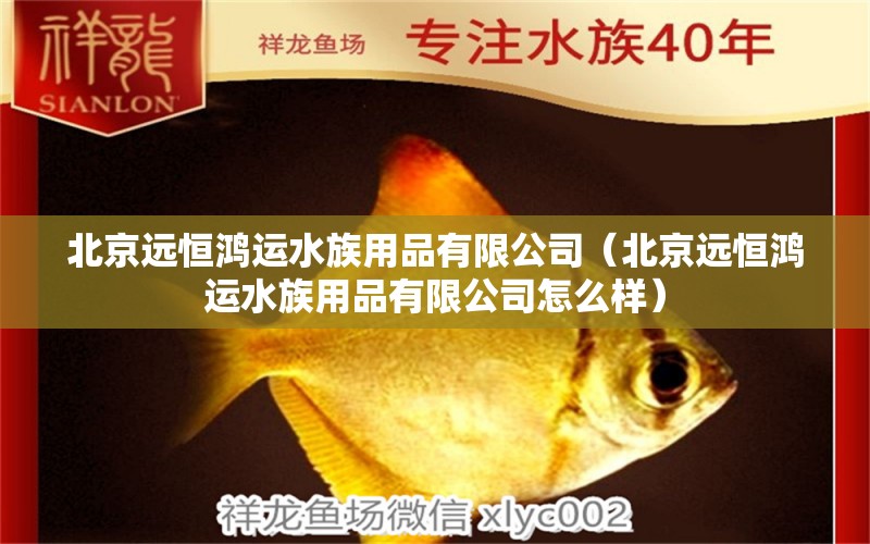 北京远恒鸿运水族用品有限公司（北京远恒鸿运水族用品有限公司怎么样） 水族用品