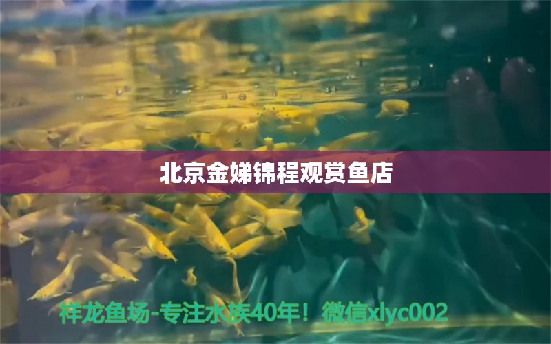 北京金娣锦程观赏鱼店 全国水族馆企业名录