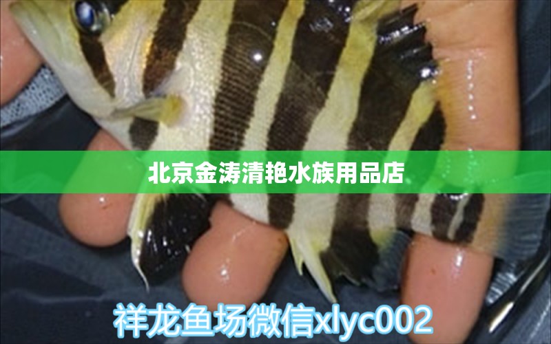 北京金涛清艳水族用品店