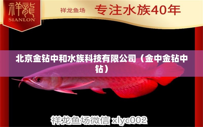 北京金钻中和水族科技有限公司（金中金钻中钻）