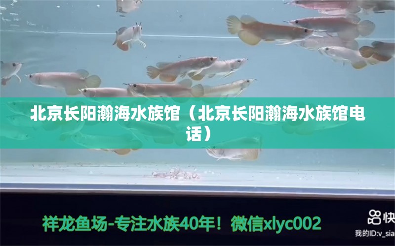 北京长阳瀚海水族馆（北京长阳瀚海水族馆电话）