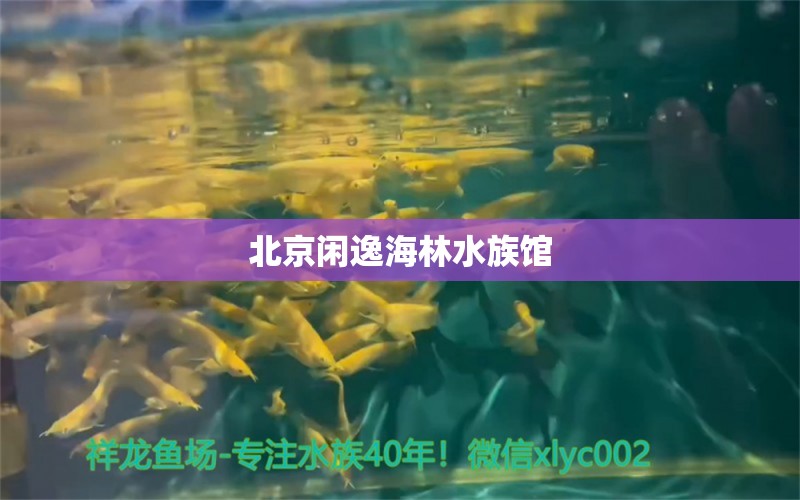 北京闲逸海林水族馆