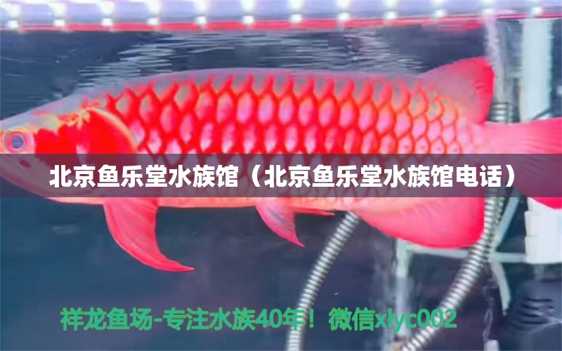 北京鱼乐堂水族馆（北京鱼乐堂水族馆电话）