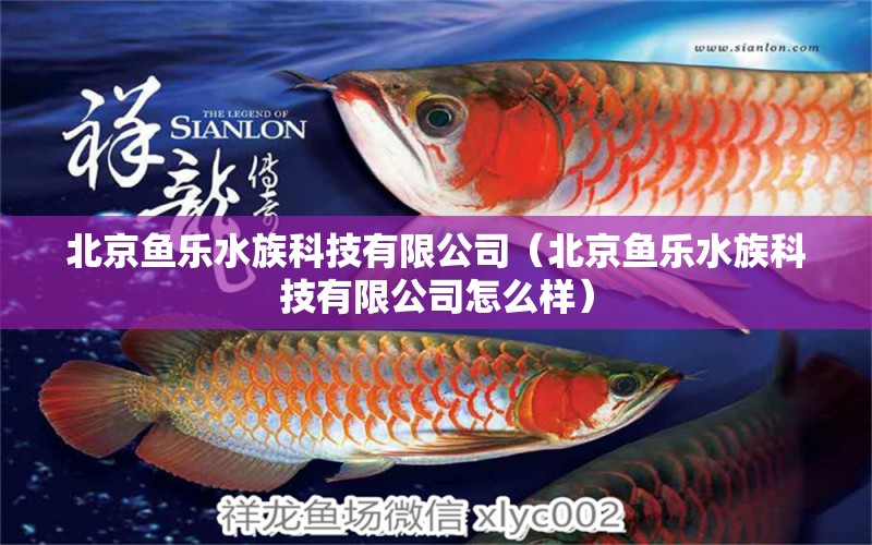 北京鱼乐水族科技有限公司（北京鱼乐水族科技有限公司怎么样） 全国水族馆企业名录