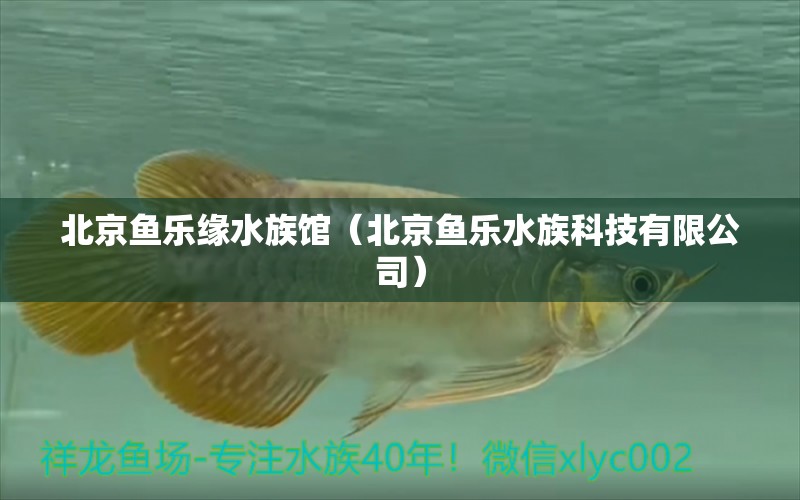 北京鱼乐缘水族馆（北京鱼乐水族科技有限公司） 全国水族馆企业名录