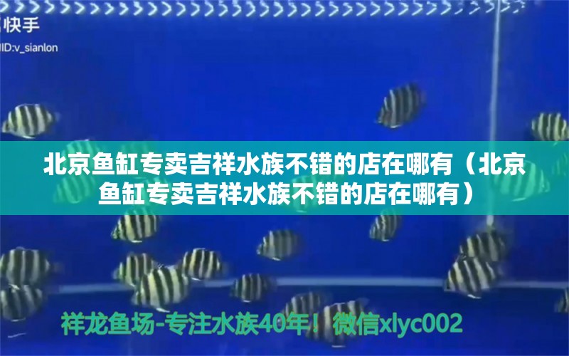 北京鱼缸专卖吉祥水族不错的店在哪有（北京鱼缸专卖吉祥水族不错的店在哪有）