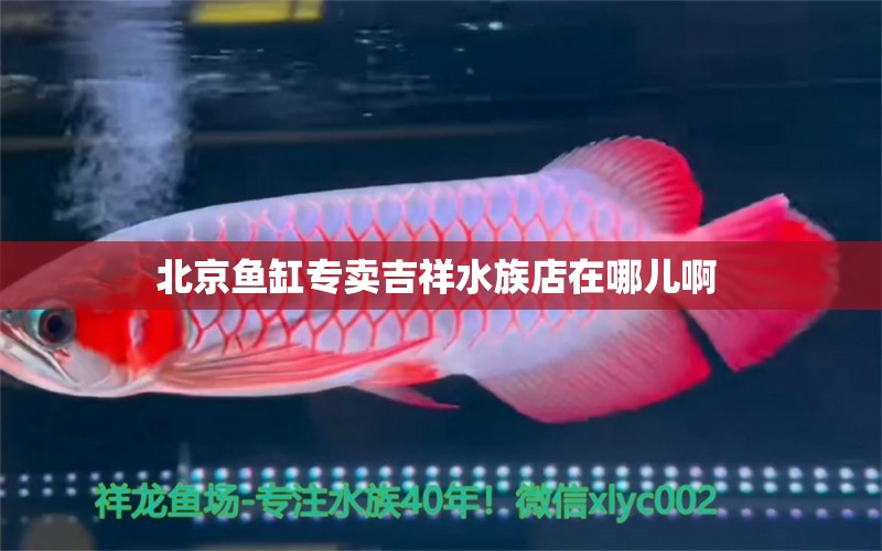 北京鱼缸专卖吉祥水族店在哪儿啊 