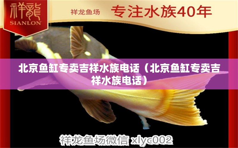 北京鱼缸专卖吉祥水族电话（北京鱼缸专卖吉祥水族电话）