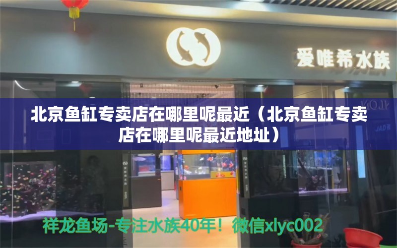 北京鱼缸专卖店在哪里呢最近（北京鱼缸专卖店在哪里呢最近地址） 造景/装饰