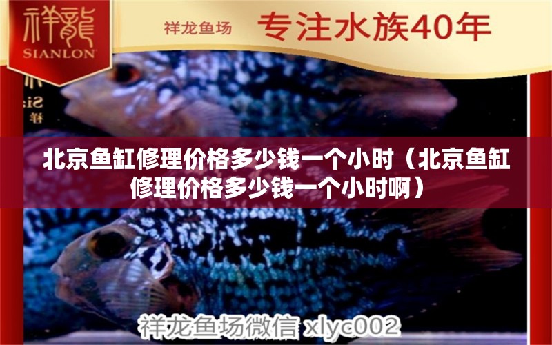 北京鱼缸修理价格多少钱一个小时（北京鱼缸修理价格多少钱一个小时啊）