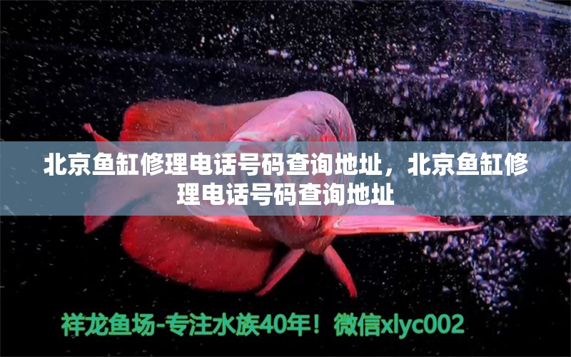 北京鱼缸修理电话号码查询地址，北京鱼缸修理电话号码查询地址