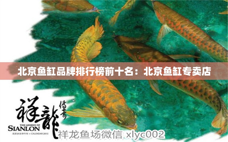 北京鱼缸品牌排行榜前十名：北京鱼缸专卖店 广州水族批发市场