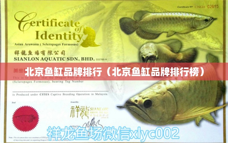 北京鱼缸品牌排行（北京鱼缸品牌排行榜）
