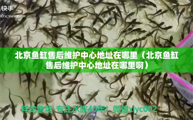 北京鱼缸售后维护中心地址在哪里（北京鱼缸售后维护中心地址在哪里啊）