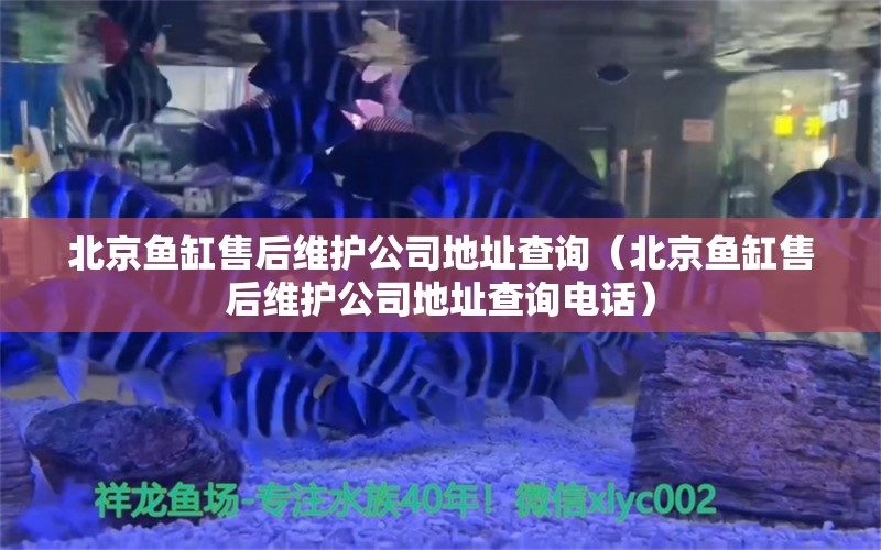 北京鱼缸售后维护公司地址查询（北京鱼缸售后维护公司地址查询电话）