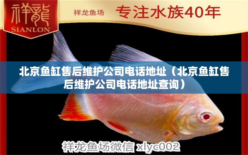 北京鱼缸售后维护公司电话地址（北京鱼缸售后维护公司电话地址查询）