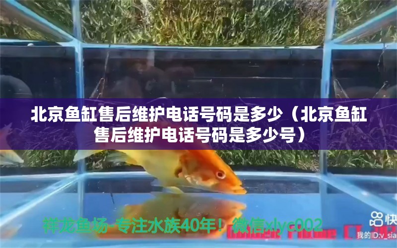 北京鱼缸售后维护电话号码是多少（北京鱼缸售后维护电话号码是多少号）