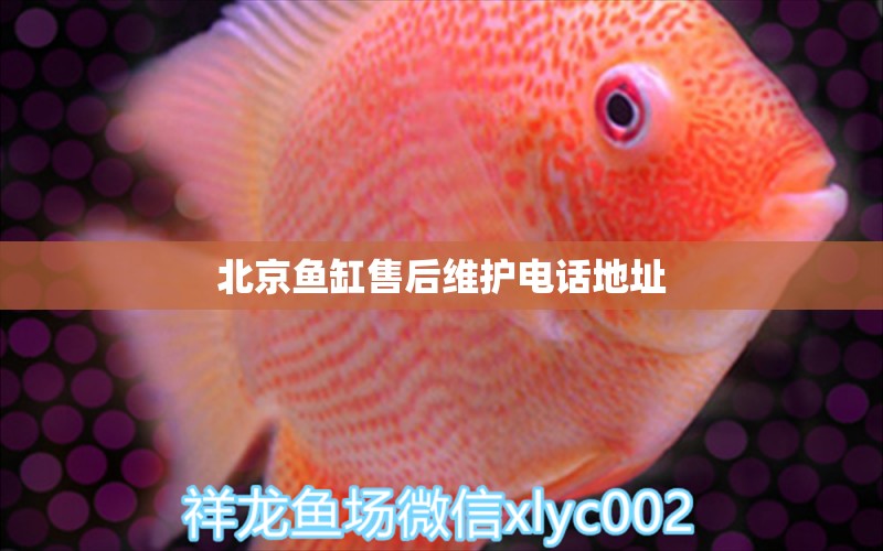 北京鱼缸售后维护电话地址