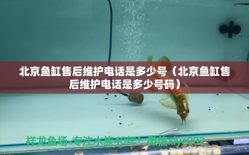 北京鱼缸售后维护电话是多少号（北京鱼缸售后维护电话是多少号码）
