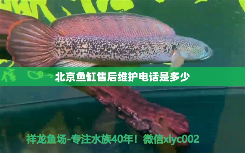 北京鱼缸售后维护电话是多少