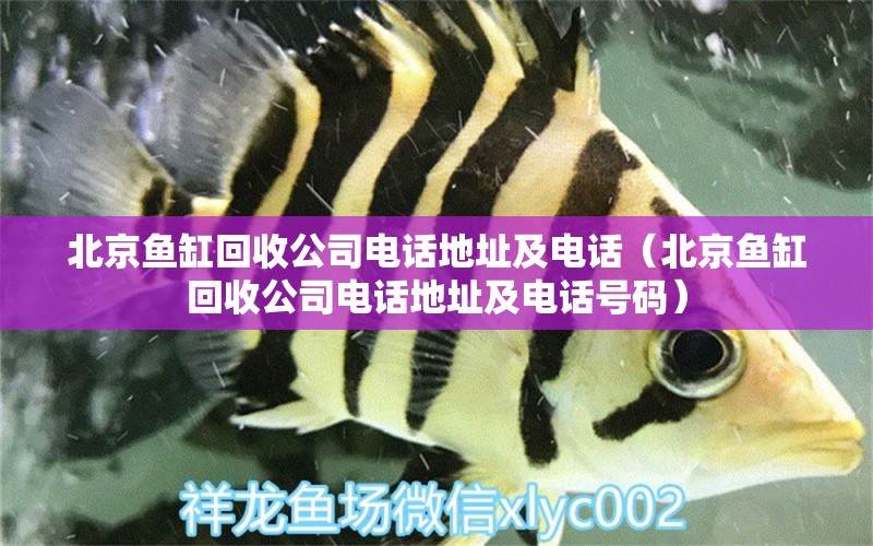北京鱼缸回收公司电话地址及电话（北京鱼缸回收公司电话地址及电话号码）