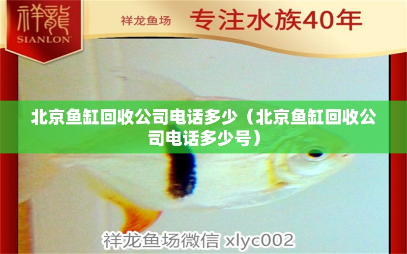 北京鱼缸回收公司电话多少（北京鱼缸回收公司电话多少号） 祥龙水族医院