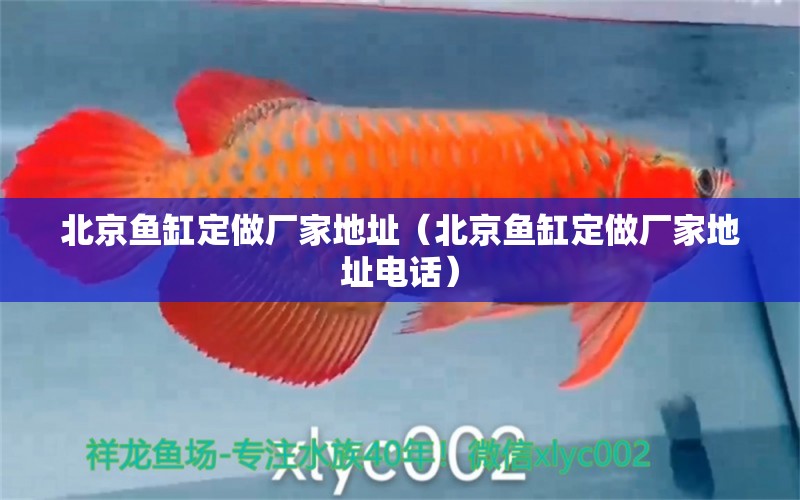 北京鱼缸定做厂家地址（北京鱼缸定做厂家地址电话） 其他品牌鱼缸