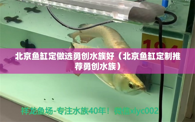 北京鱼缸定做选勇创水族好（北京鱼缸定制推荐勇创水族）