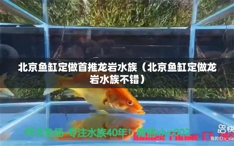 北京鱼缸定做首推龙岩水族（北京鱼缸定做龙岩水族不错）