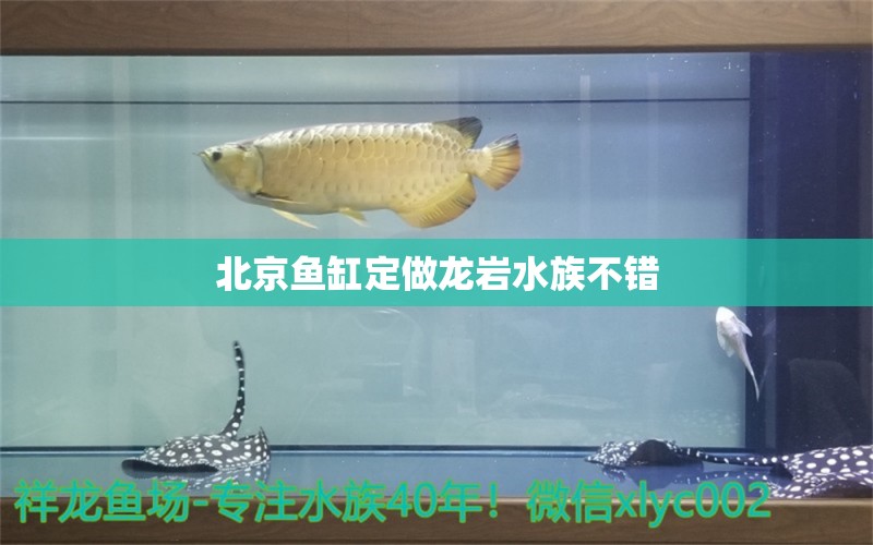 北京鱼缸定做龙岩水族不错