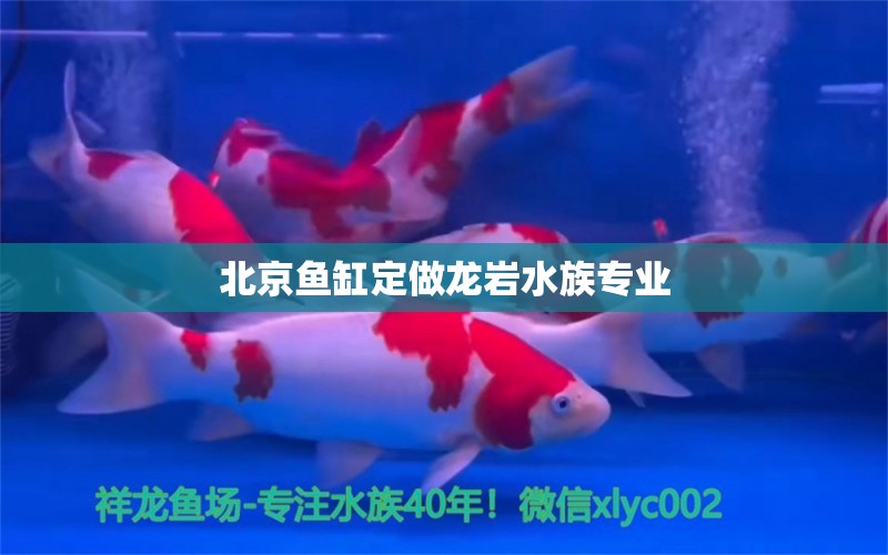 北京鱼缸定做龙岩水族专业