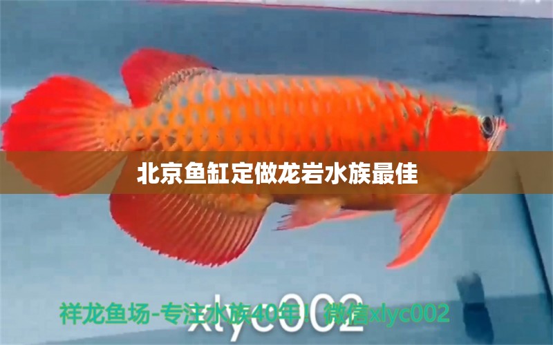 北京鱼缸定做龙岩水族最佳