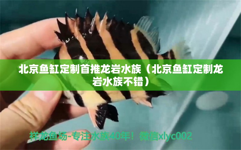 北京鱼缸定制首推龙岩水族（北京鱼缸定制龙岩水族不错）