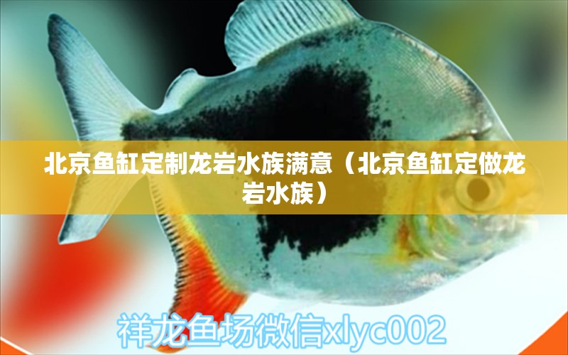 北京鱼缸定制龙岩水族满意（北京鱼缸定做龙岩水族）