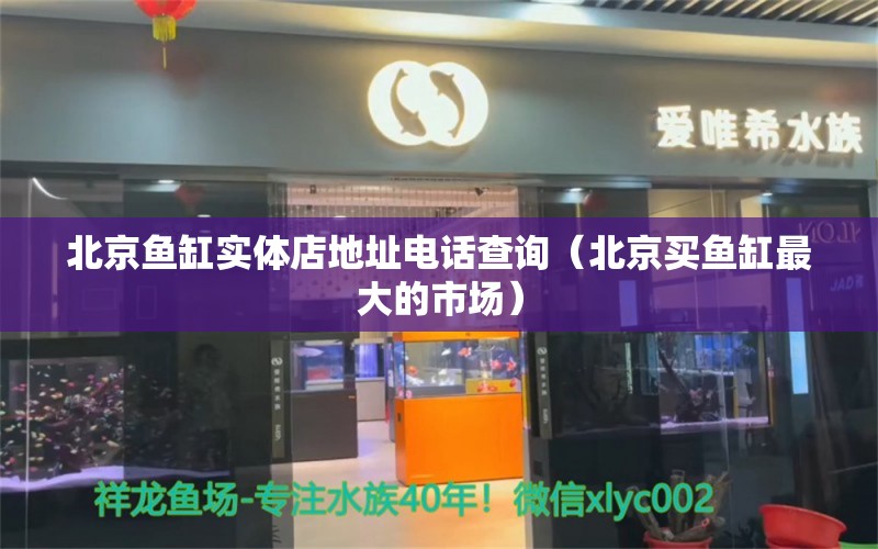 北京鱼缸实体店地址电话查询（北京买鱼缸最大的市场） 祥龙水族医院