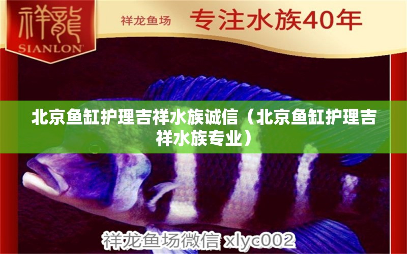 北京鱼缸护理吉祥水族诚信（北京鱼缸护理吉祥水族专业）