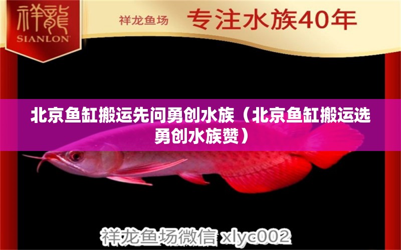 北京鱼缸搬运先问勇创水族（北京鱼缸搬运选勇创水族赞）