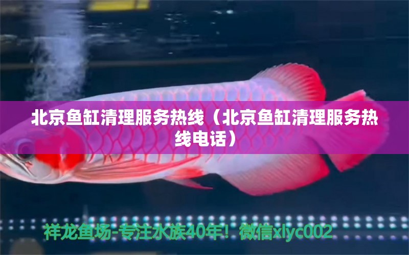 北京鱼缸清理服务热线（北京鱼缸清理服务热线电话） 其他品牌鱼缸