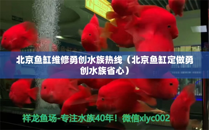 北京鱼缸维修勇创水族热线（北京鱼缸定做勇创水族省心）