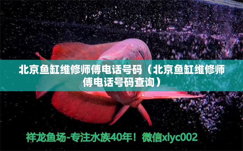 北京鱼缸维修师傅电话号码（北京鱼缸维修师傅电话号码查询） 其他品牌鱼缸
