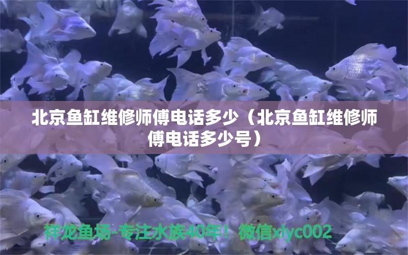 北京鱼缸维修师傅电话多少（北京鱼缸维修师傅电话多少号）