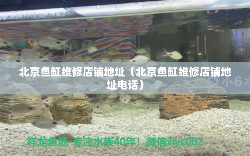 北京鱼缸维修店铺地址（北京鱼缸维修店铺地址电话） 其他品牌鱼缸