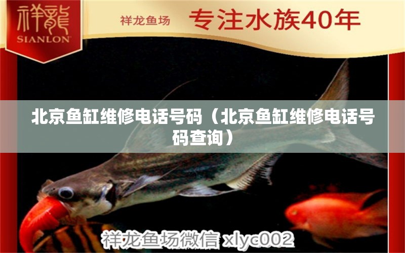 北京鱼缸维修电话号码（北京鱼缸维修电话号码查询） 其他品牌鱼缸