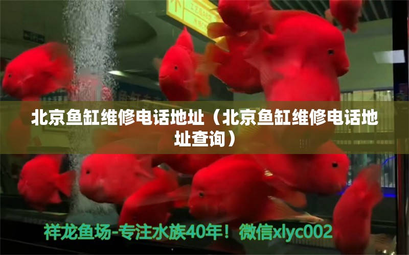 北京鱼缸维修电话地址（北京鱼缸维修电话地址查询） 其他品牌鱼缸