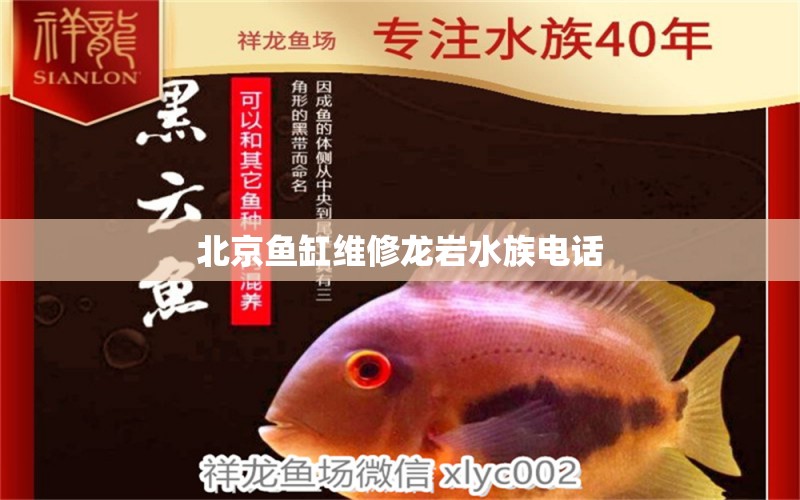 北京鱼缸维修龙岩水族电话