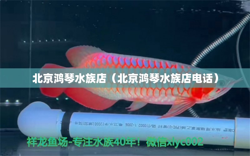 北京鸿琴水族店（北京鸿琴水族店电话） 全国水族馆企业名录